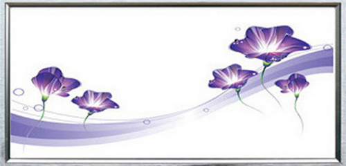 LED 300*600ƽ廨